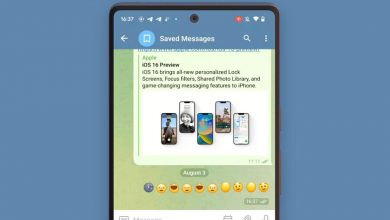 Фото - В Telegram могут появиться платные никнеймы