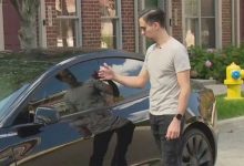 Фото - Популярную модель Tesla взломали за несколько секунд при помощи смартфона