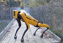 Фото - Создатели робопсов Boston Dynamics пообещали никогда не «вооружать» своих роботов