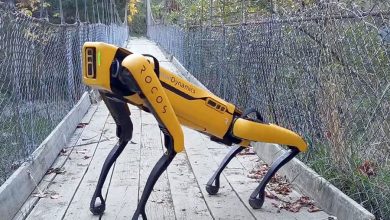 Фото - Создатели робопсов Boston Dynamics пообещали никогда не «вооружать» своих роботов