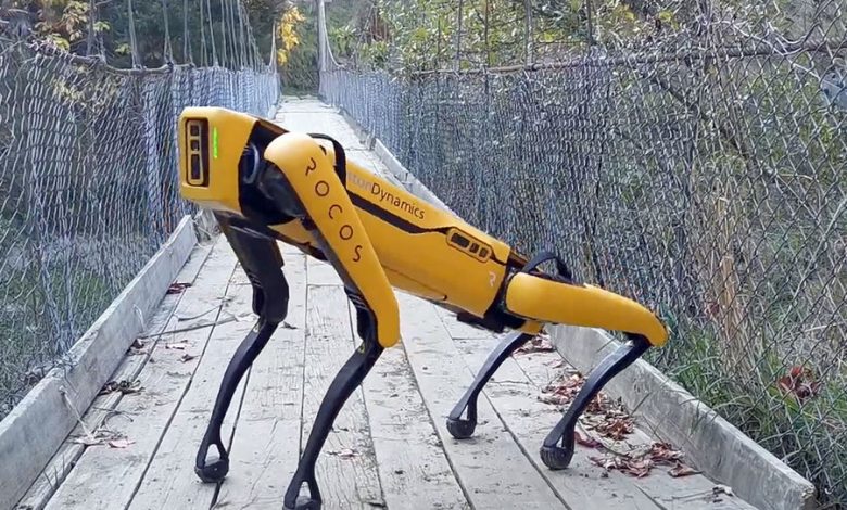 Фото - Создатели робопсов Boston Dynamics пообещали никогда не «вооружать» своих роботов