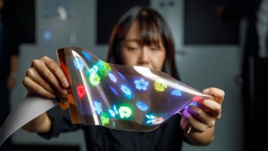 Фото - Компания LG представила тянущийся дисплей, который можно мять и крутить