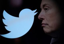 Фото - Маск запретил пародийные аккаунты в Twitter, пригрозив блокировкой «без предупреждения»