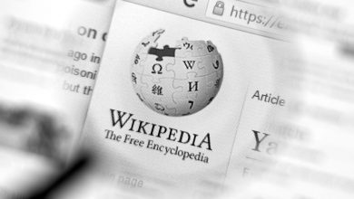 Фото - В «Википедии» ответили на призыв депутата Горелкина не принимать школьные работы со ссылками на ресурс